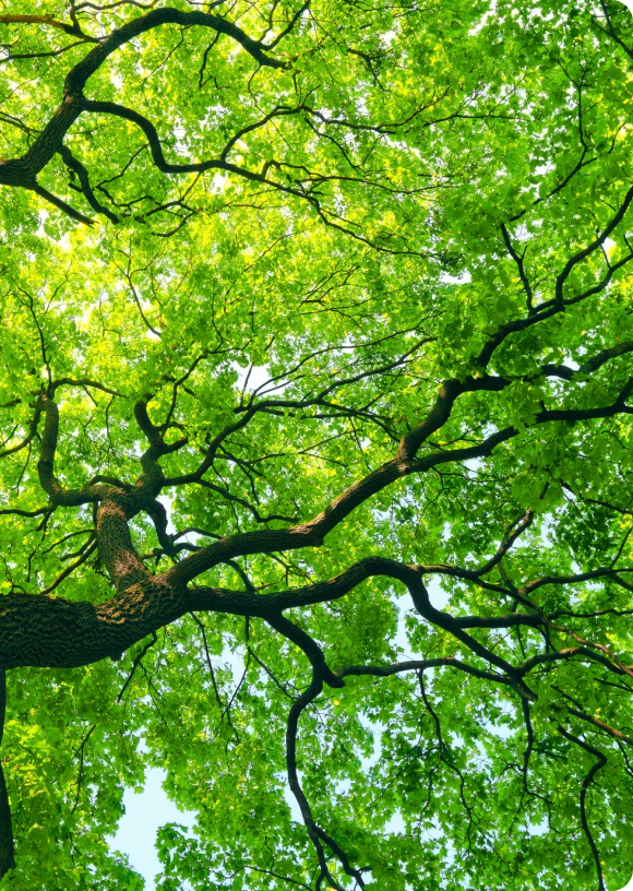 rp subservicing go green